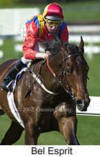 r2belesprit3.jpg (13348 bytes)