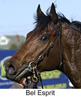 r2belesprit5.jpg (11212 bytes)