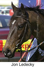 r3jonledecky2.jpg (13344 bytes)