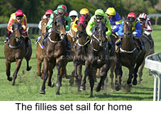 r4hometurn.jpg (19060 bytes)