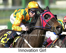 r4innovationgirl.jpg (18254 bytes)