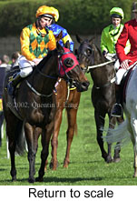 r4rtosc.jpg (16328 bytes)