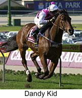 r5dandykid2.jpg (14631 bytes)