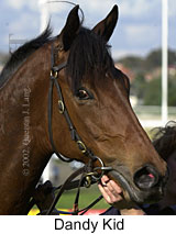 r5dandykid3.jpg (11822 bytes)