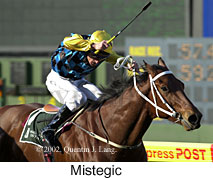 r6mistegic.jpg (15216 bytes)