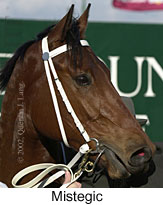 r6mistegic2.jpg (11539 bytes)