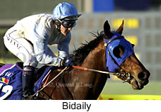 r7bidaily.jpg (14806 bytes)