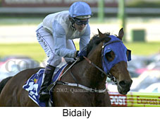 r7bidaily2.jpg (13689 bytes)