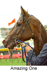 Amazing One (16727 bytes)