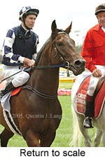 Return to scale (15472 bytes)