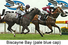 Biscayne Bay (16727 bytes)