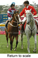 Return to scale (15472 bytes)