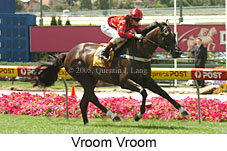 Vroom Vroom (16727 bytes)