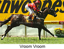 Vroom Vroom (16727 bytes)