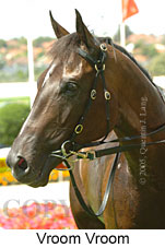 Vroom Vroom (16727 bytes)