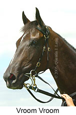 Vroom Vroom (16727 bytes)