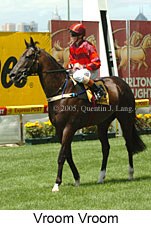 Vroom Vroom (16727 bytes)