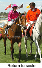 Return to scale (15472 bytes)