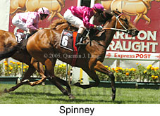 Spinney (16727 bytes)