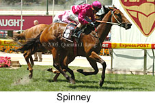 Spinney (16727 bytes)