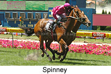 Spinney (16727 bytes)