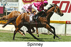 Spinney (16727 bytes)