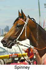 Spinney (16727 bytes)