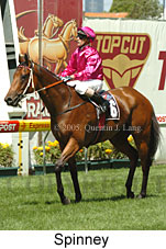 Spinney (16727 bytes)