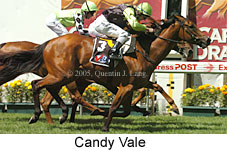 Candy Vale (16727 bytes)