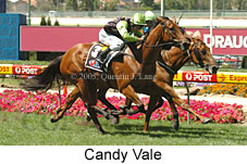 Candy Vale (16727 bytes)