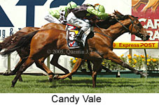 Candy Vale (16727 bytes)