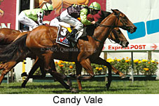 Candy Vale (16727 bytes)