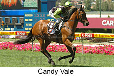 Candy Vale (16727 bytes)