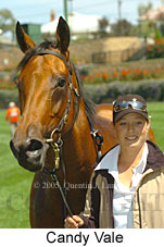 Candy Vale (16727 bytes)