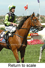 Return to scale (15472 bytes)