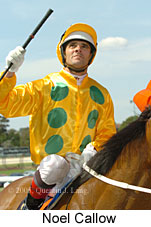 Noel Callow (16727 bytes)