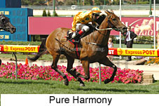 Pure Harmony (16727 bytes)