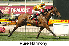 Pure Harmony (16727 bytes)