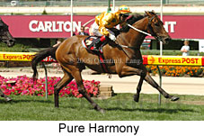 Pure Harmony (16727 bytes)