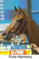 Pure Harmony (16727 bytes)