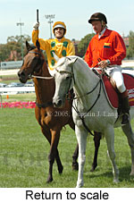 Return to scale (15472 bytes)