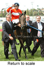 Return to scale (15472 bytes)