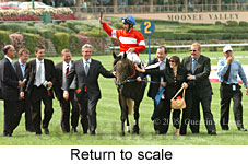 Return to scale (15472 bytes)