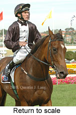 Return to scale (15472 bytes)