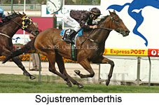 Sojustrememberthis (16727 bytes)