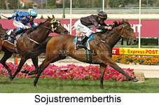 Sojustrememberthis (16727 bytes)