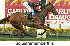 Sojustrememberthis (16727 bytes)