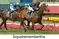 Sojustrememberthis (16727 bytes)