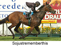 Sojustrememberthis (16727 bytes)