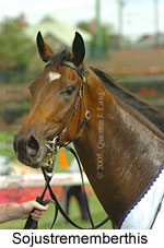 Sojustrememberthis (16727 bytes)